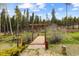 Charming wooden bridge in backyard with tall trees and lots of luscious greenery at 8600 S Warhawk Rd, Conifer, CO 80433