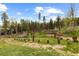 Extensive backyard features grassy ground, a fence line, mature trees and a covered picnic area to the rear of the property at 8600 S Warhawk Rd, Conifer, CO 80433