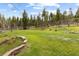 Serene backyard with lush green grass, landscaping, and mature trees at 8600 S Warhawk Rd, Conifer, CO 80433