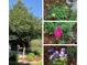 Collage of backyard flowers that include a rose, bluebells, and yellow wildflowers at 27 Buckthorn Dr, Littleton, CO 80127