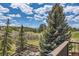 Backyard with a garden and wooded landscape in a scenic, peaceful setting with a cloudy sky at 7083 Turweston Ln, Castle Pines, CO 80108