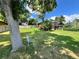 Spacious backyard with mature trees, a white bench, and a view of the home's deck at 2300 Willow Ln, Lakewood, CO 80215