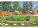 Lush backyard featuring a large garden box with colorful flowers, a manicured lawn, and a wood fence at 8845 W 81St Dr, Arvada, CO 80005
