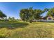Expansive grassy yard with mature trees surrounding a house, creating a serene and private setting at 11475 Us Highway 85, Littleton, CO 80125