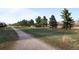 Gravel walking path with open space on either side featuring mature trees and lush, natural landscape at 1808 Southard St, Erie, CO 80516