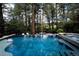 Luxurious pool with jacuzzi, lounge seating, and surrounded by tall pine trees at 1070 Cypress Way, Castle Rock, CO 80108