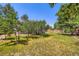 Beautiful backyard with a combination of grass, mulch, trees, and a wooden fence at 2603 W 100Th Pl, Denver, CO 80260