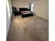 Bright bedroom with neutral carpet, a large bed with dark wood frame, and a sunny window at 14241 Ivanhoe St, Thornton, CO 80602