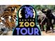 Denver Zoo Tour logo depicting tigers, lions and elephants at 1385 Birch St, Denver, CO 80220