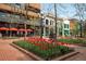 Vibrant cityscape featuring colorful tulips, brick sidewalks, street lamps, and a variety of storefronts and buildings at 2711 Mapleton Ave # 1, Boulder, CO 80304