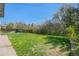 Large backyard with lush green grass, mature trees, and a patio area at 1580 S Krameria St, Denver, CO 80224