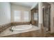Elegant bathroom with a soaking tub and a glass-enclosed shower with tile surround at 10632 Star Thistle Ct, Highlands Ranch, CO 80126