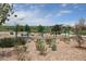 Outdoor playground with a variety of swings and landscaping creating a Gathering-friendly environment at 7470 Blue Water Ln, Castle Rock, CO 80108