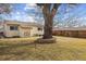 Large backyard with mature tree and a spacious lawn area at 4825 Estes St, Arvada, CO 80002