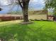 Spacious backyard features lush lawn and a brick-lined tree, creating a serene outdoor space at 4825 Estes St, Arvada, CO 80002