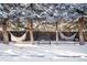 A picturesque winter backyard with a bench, hammocks, and snow-covered ground, framed by tall pine trees at 9770 Quitman Way, Westminster, CO 80031