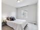 Bedroom with carpeted floors, ample natural light from the window, and minimalist decor at 9836 Mount Kataka Pt, Littleton, CO 80125
