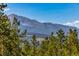 A breathtaking view of majestic mountains and lush green pine trees under a clear blue sky at 242 Point View Pl, Breckenridge, CO 80424