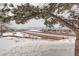 Scenic winter view of mountains and city from snow-covered ground framed by a pine tree branch at 539 Wright St # 102, Lakewood, CO 80228