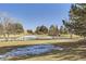 Serene community view of a partially frozen pond with geese and surrounding greenery at 10425 Red Mountain West, Littleton, CO 80127