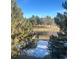 Scenic view of a tranquil pond surrounded by mature trees and snow-covered ground at 10425 Red Mountain West, Littleton, CO 80127