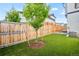 Fenced backyard featuring a newly planted tree and well-manicured lawn at 9700 E 63Rd Pl, Denver, CO 80238