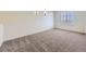 Bright bedroom with neutral carpet, window with blinds, and decorative wall ledges perfect for personalization at 18241 E 47Th Dr, Denver, CO 80249