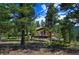 Cabin exterior amidst towering trees and lush greenery, offering a secluded and natural ambiance at 10042 Buena Vista Dr, Conifer, CO 80433