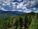 Expansive forested landscape featuring a mountain range as a backdrop at 10042 Buena Vista Dr, Conifer, CO 80433