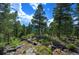 Rocky landscape with lush greenery and towering trees on a hillside at 10042 Buena Vista Dr, Conifer, CO 80433