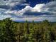 Overlook of a lush forest landscape featuring a mountain range and dramatic clouds at 10042 Buena Vista Dr, Conifer, CO 80433