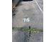 Designated parking spot number sixteen at 1024 E 14Th Ave # 2, Denver, CO 80218