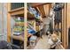 Organized basement storage with wooden shelves, perfect for keeping belongings tidy and accessible at 6616 Zinnia St, Arvada, CO 80004