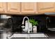 Close-up of kitchen sink with stainless steel faucet and black countertops at 1653 S Logan St, Denver, CO 80210