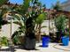 Outdoor patio area with greenery, pergola, large potted plants, and shade at 18090 E 47Th Dr, Denver, CO 80249