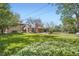 View of backyard, with covered patio and mature landscaping at 4490 Balsam St, Wheat Ridge, CO 80033