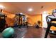 Basement gym area with workout equipment, including a punching bag, weight rack, and treadmill, for fitness enthusiasts at 3902 Eagle Tail Ln, Castle Rock, CO 80104