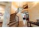 Grand foyer with a curved staircase, elegant lighting, and decorative walls, making a statement entrance at 3902 Eagle Tail Ln, Castle Rock, CO 80104