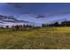 An area is fenced and has grass surrounding it at 8370 Midsummer Ln, Elizabeth, CO 80107