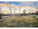 Spacious backyard with mature trees and well-maintained lawn at 4534 Palmer Ct, Longmont, CO 80503