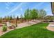Spacious backyard featuring a well-manicured lawn, mature trees, and a charming fence, perfect for outdoor activities at 21376 E Union Pl, Aurora, CO 80015