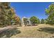 Expansive backyard featuring lush greenery and mature trees surrounding the home at 3163 Soaring Eagle Ln, Castle Rock, CO 80109