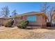 Charming single-story brick home with a large window and manicured landscaping at 3515 Grape St, Denver, CO 80207