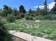 Back yard with landscaping, rock walls, shrubs, and pathway at 3910 E Orchard Rd, Centennial, CO 80121