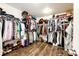 Walk in closet with hanging clothes, shelving, and hardwood floors at 1786 Quartz St, Castle Rock, CO 80109