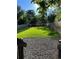 Green backyard with a lush lawn, bordered by a wooden fence, and framed by mature trees at 2020 Teller St, Lakewood, CO 80214