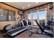 Workout area featuring stone walls, natural light, and an array of exercise equipment at 8002 Galileo Way, Littleton, CO 80125