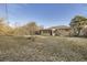 Expansive backyard featuring a well-maintained lawn, mature trees, and the home's exterior at 110 E 104Th Pl, Northglenn, CO 80233