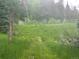 Expansive, fenced backyard features lush green grass and perimeter foliage for privacy and outdoor enjoyment at 1345 Witter Gulch Rd, Evergreen, CO 80439