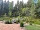 Lush backyard featuring mature trees, stone accents, and a natural landscape, perfect for relaxation and exploration at 1345 Witter Gulch Rd, Evergreen, CO 80439